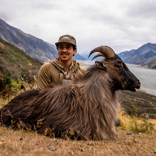 Hunting videographer New Zealand - 1