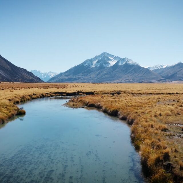 Red Stag Hunt New Zealand (2)