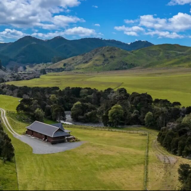 South Island hunting outfitters (1)