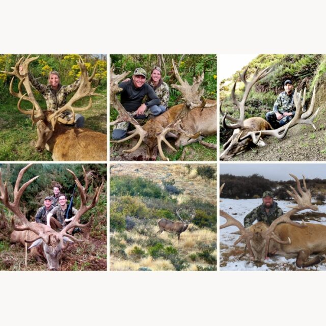 South Island hunting outfitters (2)