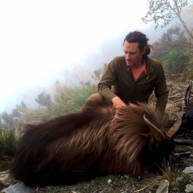 Film-Your-Hunt-Himalayan-Tahr-Hunting-Videographer-New-Zealand