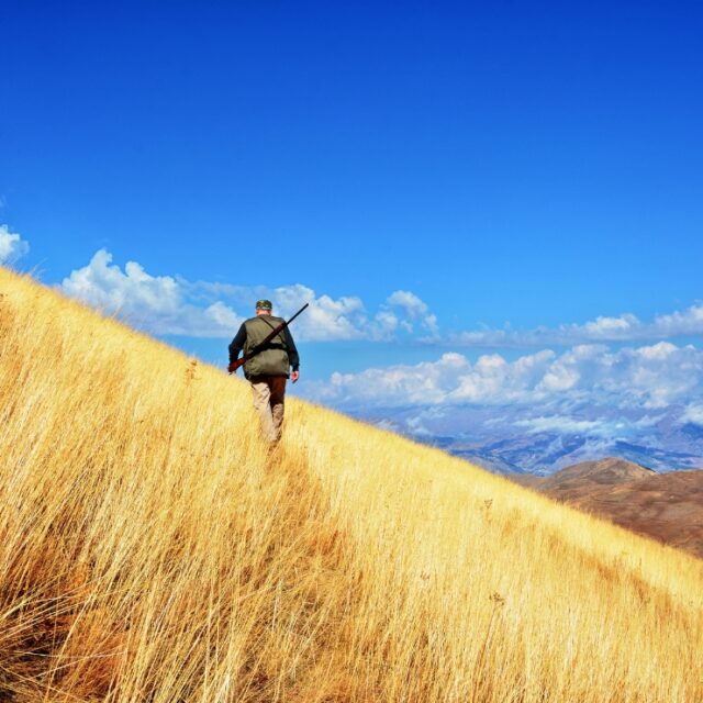 What-Does-It-Cost-to-Film-a-Hunt-in-New-Zealand-Hunting-Videographer-Hunt-Film-Packages