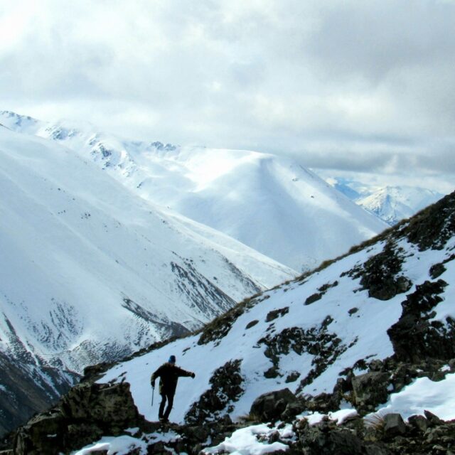 What-Does-It-Cost-to-Film-a-Hunt-in-New-Zealand-Snowy-Alpine-Hunt-Film-Packages