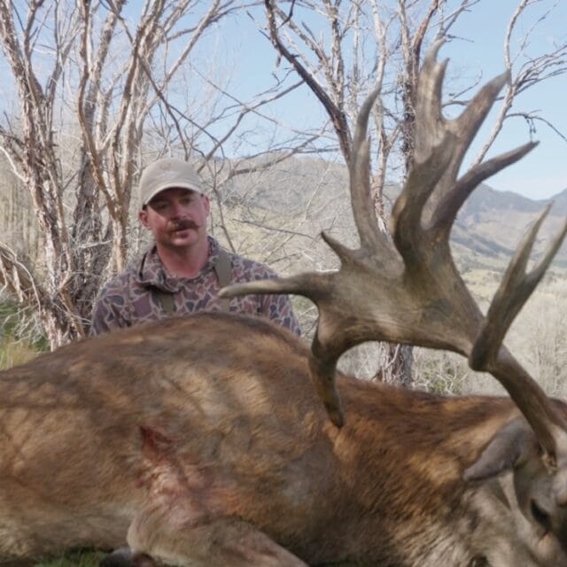 Red Stag Estate Hunting Film NZ