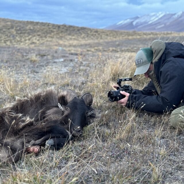 Film Your New Zealand Wilderness Hunt