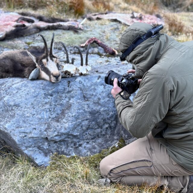 Documenting the Hunt Story in New Zealand